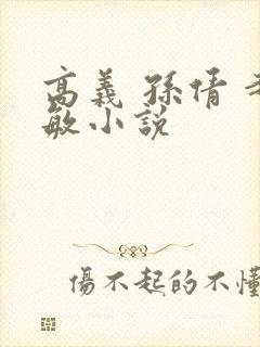 高义 孙倩 赵敏小说