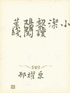 叶阳黎洁小说在线阅读