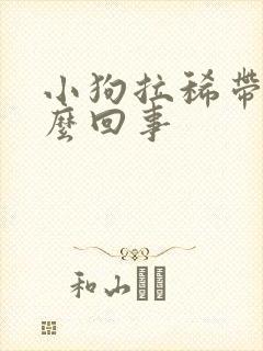 小狗拉稀带血怎么回事