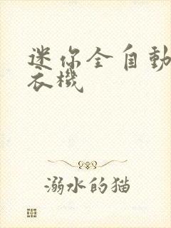 迷你全自动小洗衣机