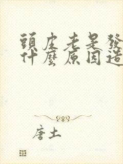 头皮老是发痒是什么原因造成的