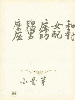 摩羯座女和白羊座男的配对指数