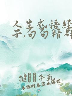 人生感悟经典句子,句句精辟入骨