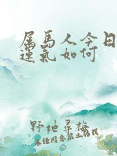 属马人今日打牌运气如何