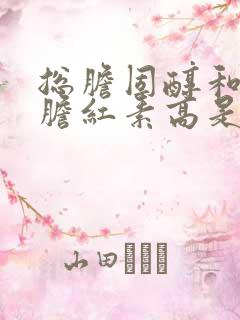 总胆固醇和间接胆红素高是什么意思