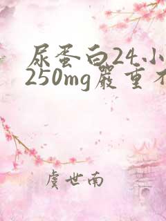 尿蛋白24小时250mg严重不