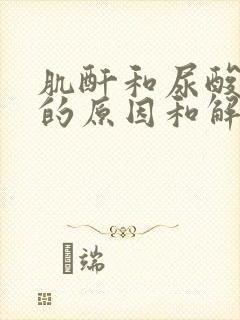 肌酐和尿酸偏高的原因和解决方法