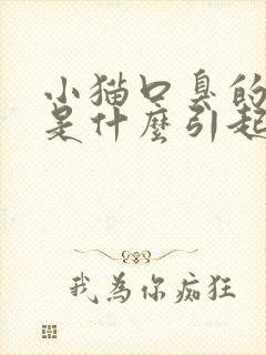 小猫口臭的原因是什么引起的