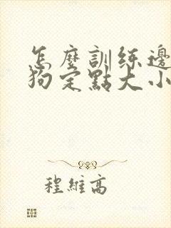 怎么训练边牧狗狗定点大小便