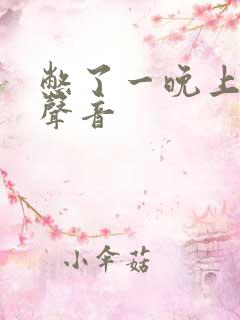 憋了一晚上的尿声音