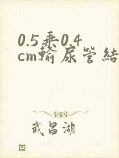 0.5乘0.4cm输尿管结石