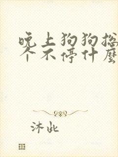 晚上狗狗总是叫个不停什么原因