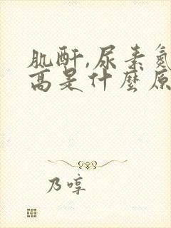 肌酐,尿素氮偏高是什么原因