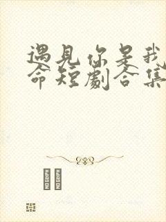 遇见你是我的宿命短剧合集