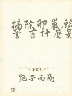 摘除卵巢,输卵管 有什么影响