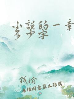 小说的一章大概多少字