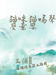 猫咪猫呜声叫什么意思