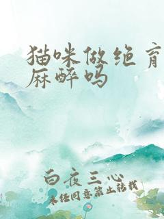 猫咪做绝育要打麻醉吗