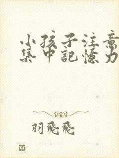 小孩子注意力不集中记忆力差反应迟钝