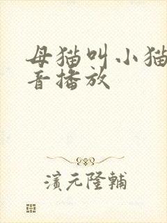 母猫叫小猫的声音播放