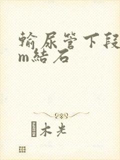 输尿管下段5mm结石