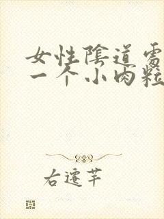 女性阴道处长了一个小肉粒