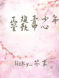 正规青少年叛逆管教中心