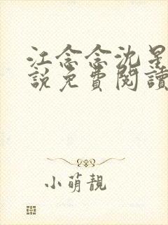 江念念沈星回小说免费阅读最新章节