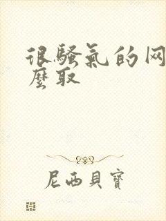 很骚气的网名怎么取