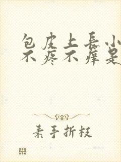 包皮上长小疙瘩不疼不痒是怎么回事