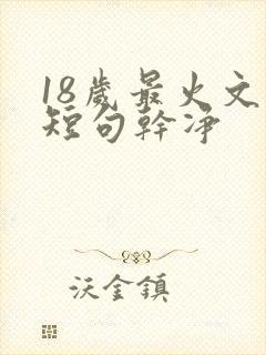 18岁最火文案短句干净