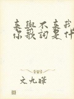 来与不来我都等你歌词是什么意思