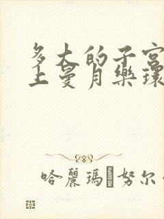 多大的子宫可以上曼月乐环