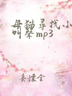 母猫寻找小猫的叫声mp3