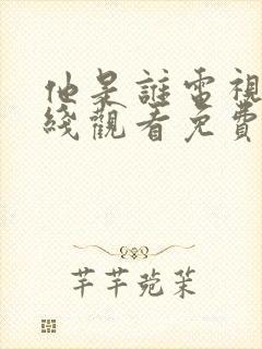 他是谁电视剧在线观看免费全集