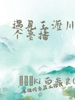 遇见王沥川在哪个台播