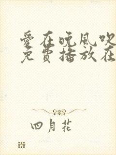 爱在晚风吹短剧免费播放在线观看