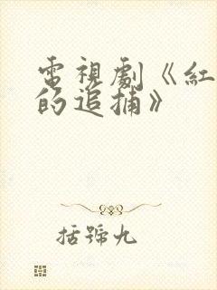 电视剧《红岩下的追捕》