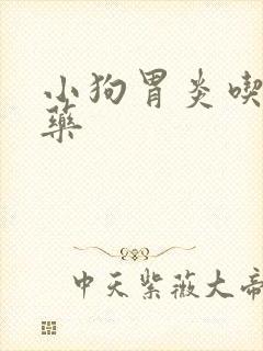 小狗胃炎吃什么药