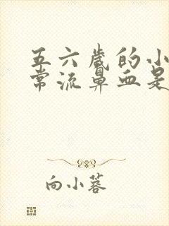 五六岁的小孩经常流鼻血是怎么回事?