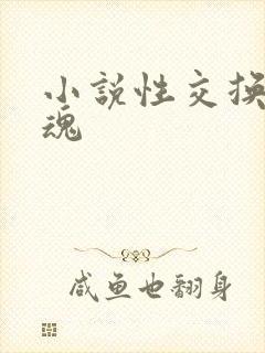 小说性交换的销魂