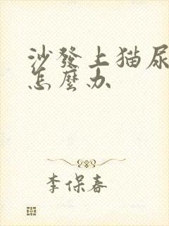 沙发上猫尿很臭怎么办