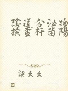 阴道分泌物常规检查杆菌阳性