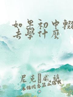 如果初中辍学能去学什么