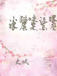 小猫咪流眼泪有眼屎是怎么回事