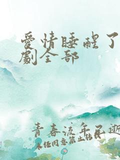 爱情睡醒了电视剧全部