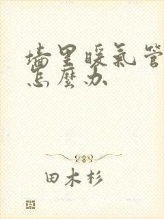 墙里暖气管漏水怎么办