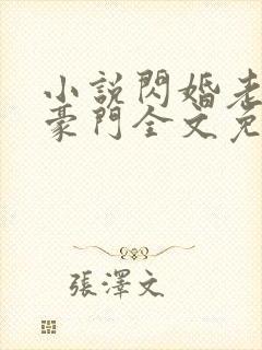 小说闪婚老公是豪门全文免费阅读