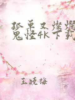 孤单又灿烂的神鬼怪4k下载