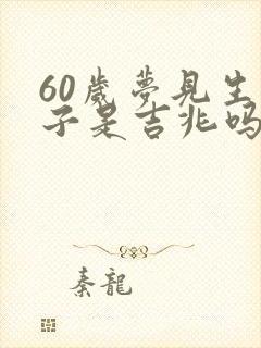 60岁梦见生孩子是吉兆吗